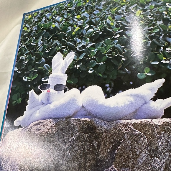 NEW Carnival Towel Creations 40 Designs Hardcover Gift Book - Picture 7 of 8